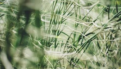 Кантип ийгиликке жетүү үчүн, өз колуңуз менен